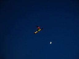_r2a2401