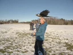 Sylvesterfliegen 2024