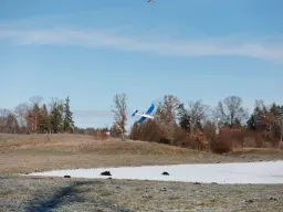 Sylvesterfliegen