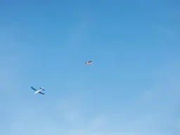 Sylvesterfliegen
