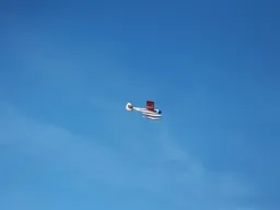 Sylvesterfliegen