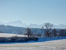 Sylvesterfliegen