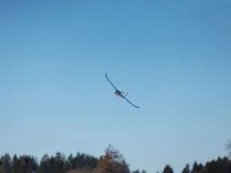 Sylvesterfliegen