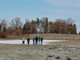 Sylvesterfliegen