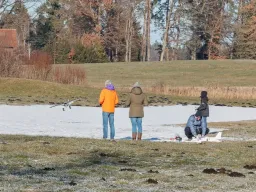 Sylvesterfliegen